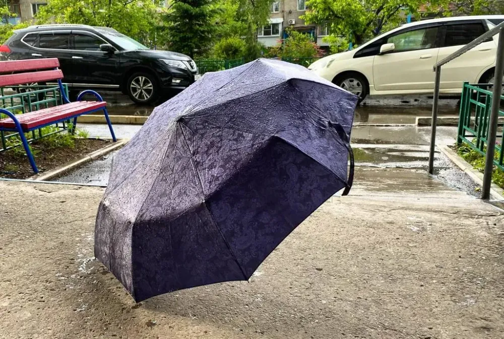 Дождь с грозой ожидает жителей ЕАО в понедельник