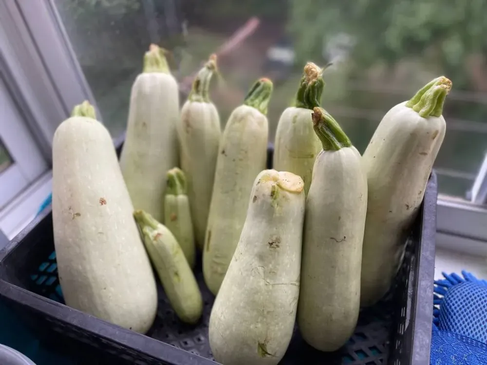 О мерах безопасности при хранении урожая рассказали в МЧС ЕАО