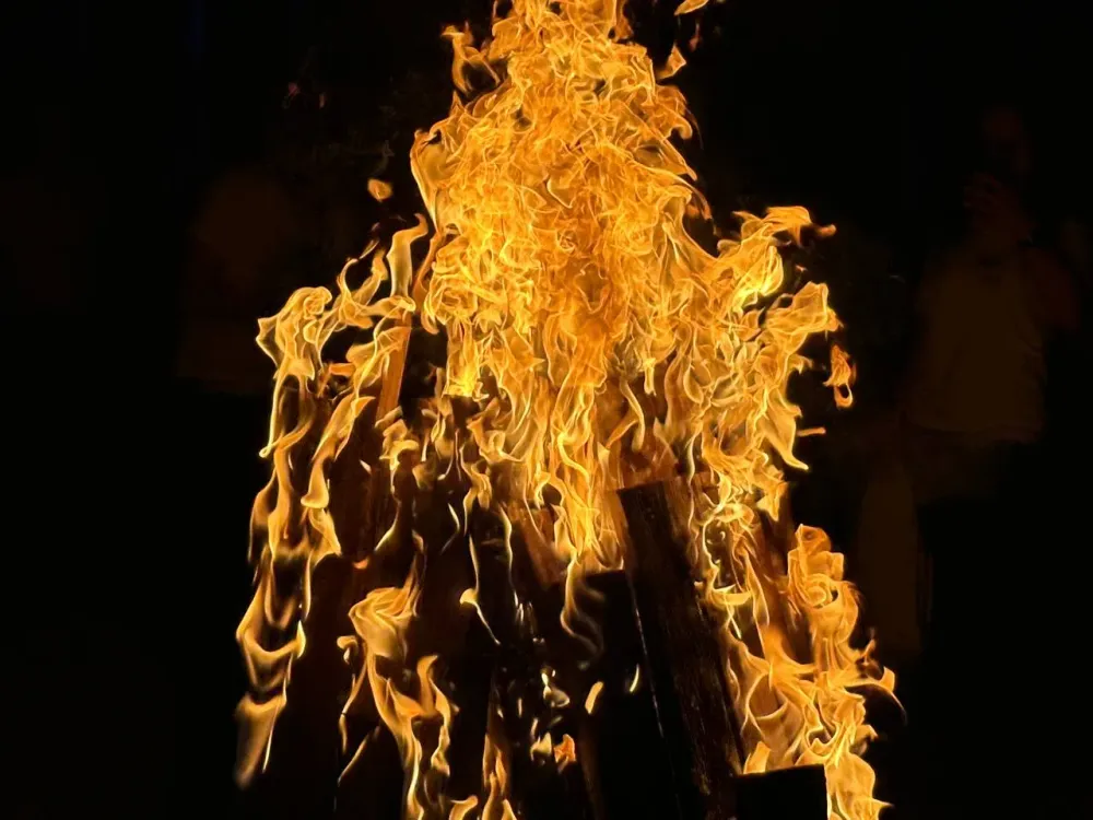 Выпили, покурили, погорели: погибла в бытовом пожаре нетрезвая жительница ЕАО