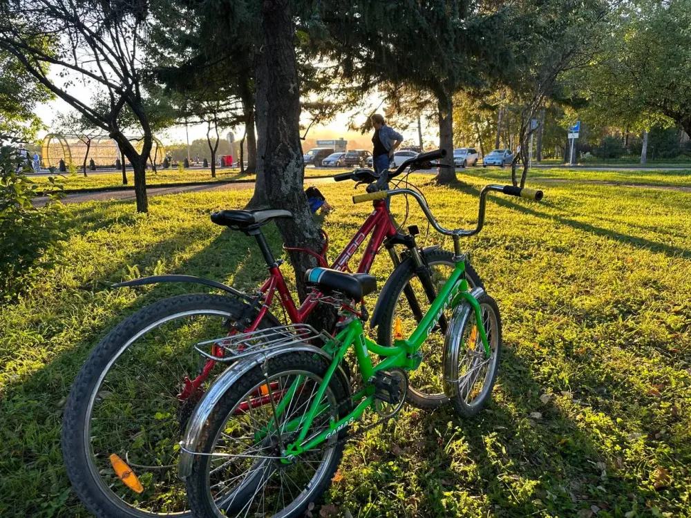 Ну и что же тут криминального: Биробиджанца задержали за угон велосипеда