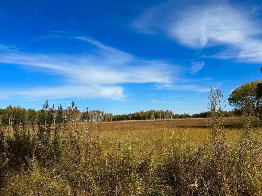 Около 50 миллионов рублей получили участники программы «Дальневосточный гектар» в ЕАО