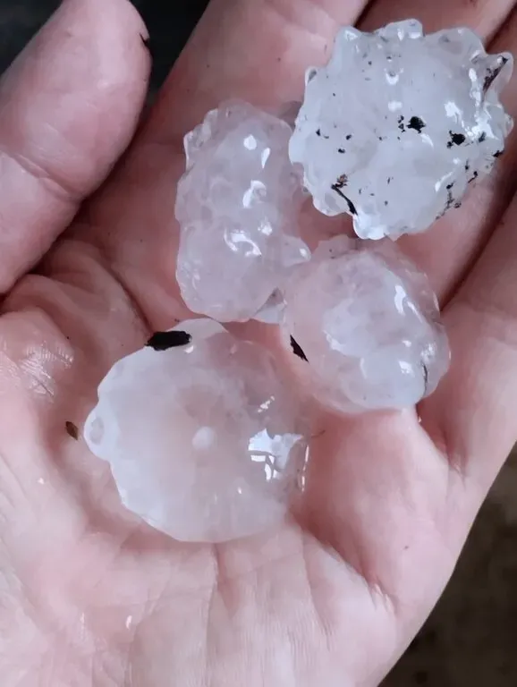 Град размером с перепелиное яйцо выпал в Октябрьском районе ЕАО