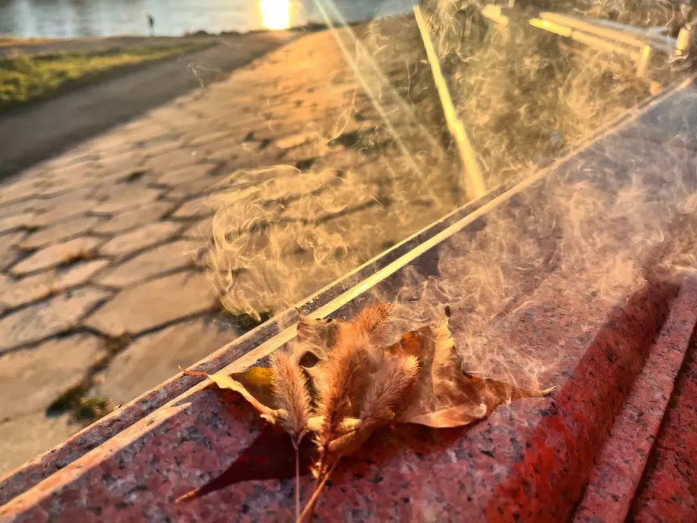 За шашлыки и палы сухой травы жители ЕАО будут оштрафованы на 10 тысяч рублей