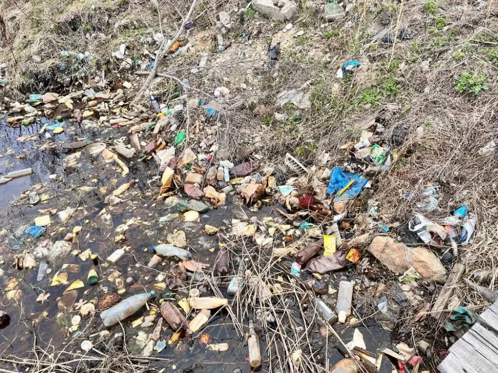 Проблему свалок в ЕАО и Хабаровском крае обсудили в Россельхознадзоре