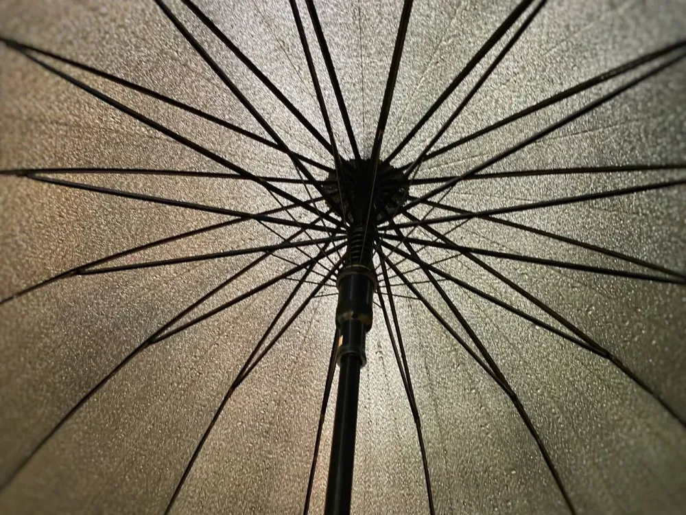 Осень вступает в свои права: Синоптики прогнозируют похолодания со среды в ЕАО