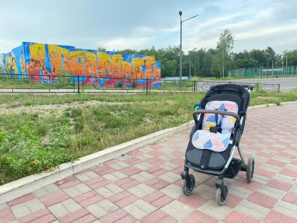 Коляску угнал ночной похититель у жителя ЕАО