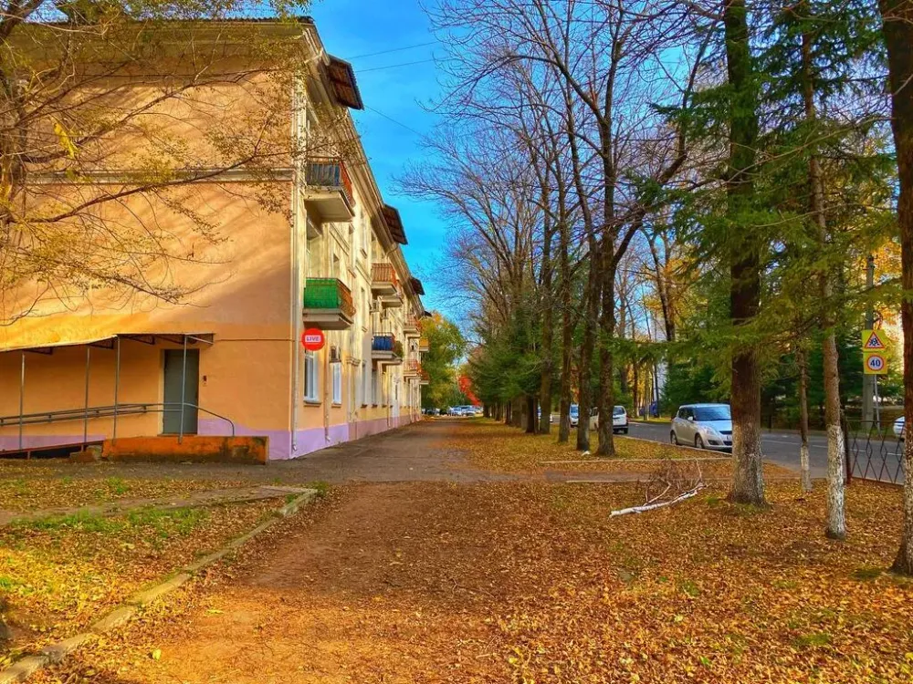 Почти до нуля опустится температура этой ночью в ЕАО