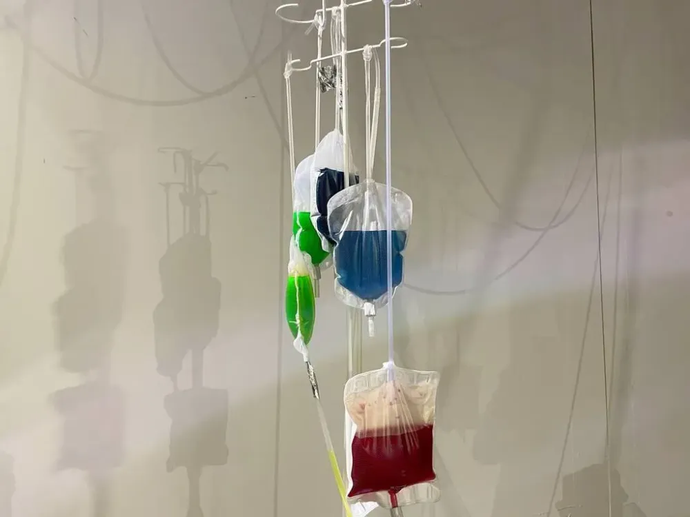 Медицинские организации ЕАО пополнились молодыми специалистами