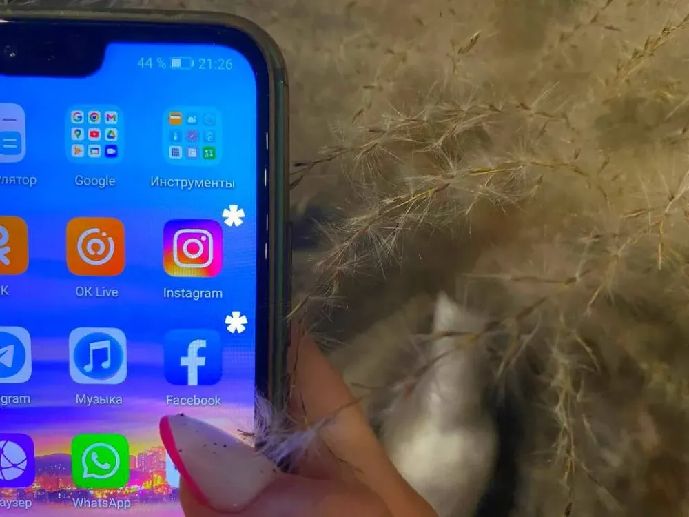 РКН будет удалять из маркетов VPN-сервисы, позволяющие обходить блокировки