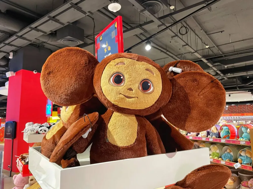 Об опасности игрушек и их вреде ребенку заявили в детской больнице Биробиджана