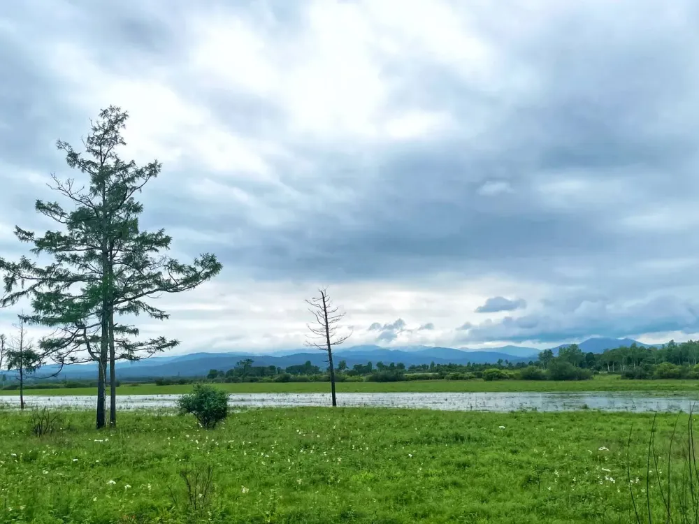 Сборник данных о качестве воды в России впервые введут, начиная с ЕАО