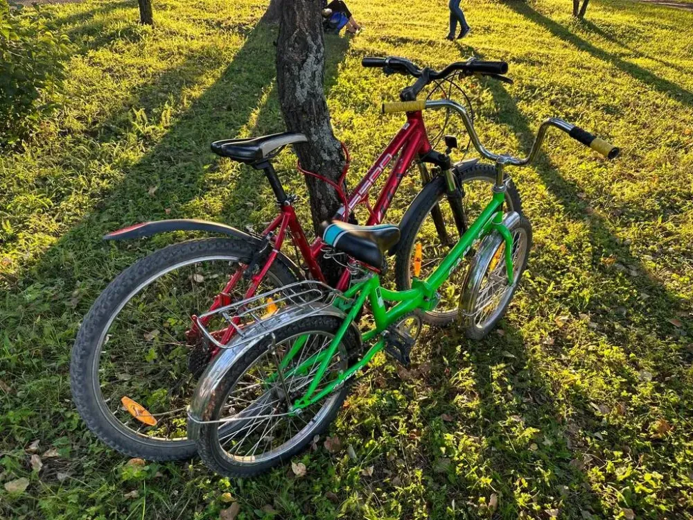 Дошла до суда мама девочки, получившей перелом из-за ямы на дороге в Биробиджане