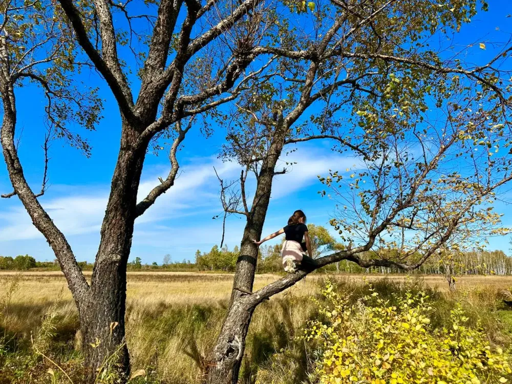Ужесточили наказание за злостную неуплату алиментов горе-матери из ЕАО