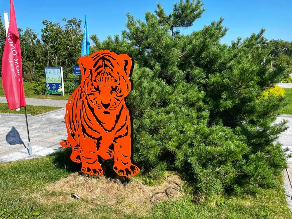 За убийство тигра, проникшего в сторожку, жителю Хабаровского края грозит срок до 4 лет