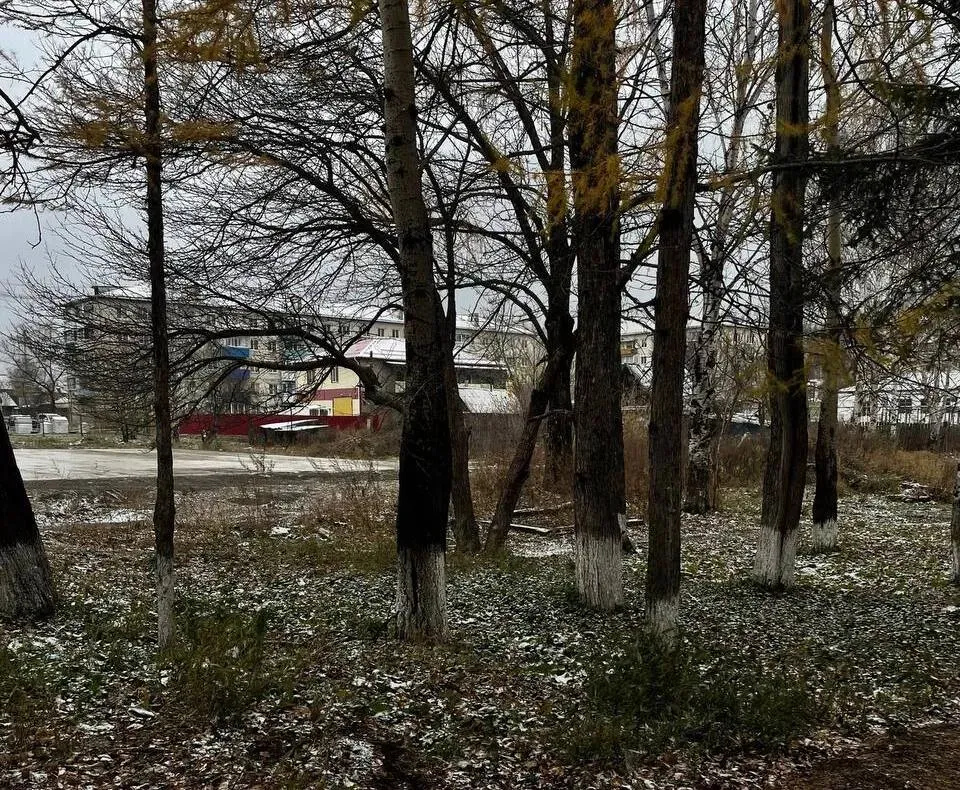 Минусовая температура ночью прогнозируется во вторник в ЕАО