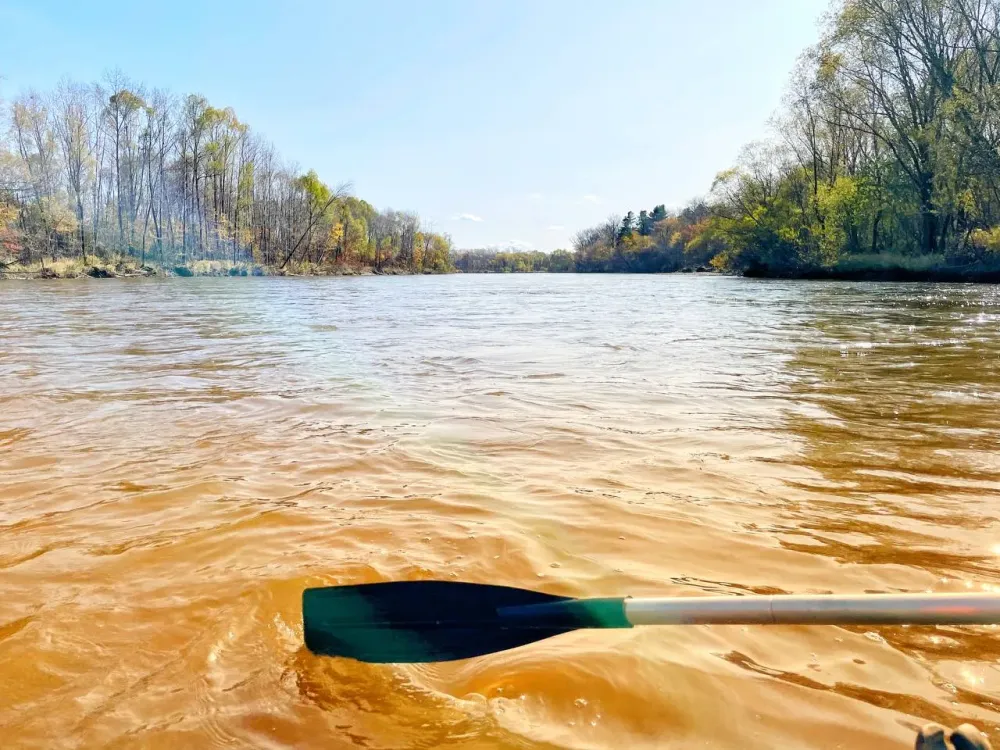 За желтую воду и вред экосистеме Биры в суде ответят золотодобытчики ЕАО — прокуратура