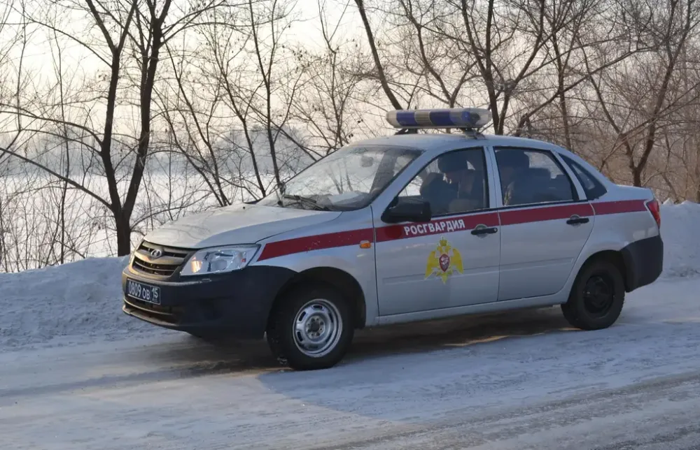 Пьяную дебоширку задержали в Биробиджане