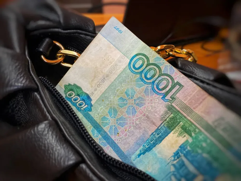 Нашла сумку пенсионера, забрала деньги и скрылась жительница ЕАО