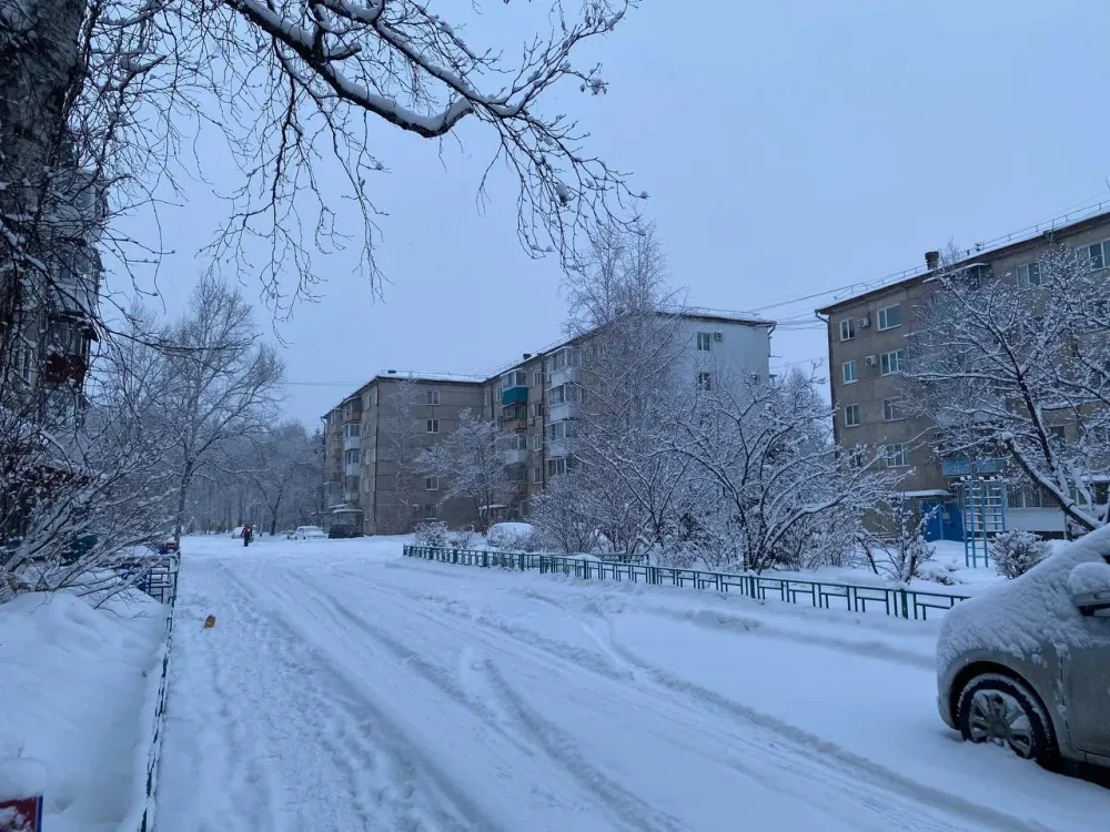 Порадует ли теплом первый день зимы жителей ЕАО, рассказали синоптики