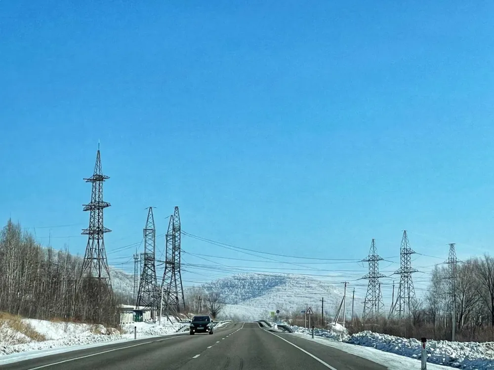 Сбил насмерть лошадь и скрылся с места ДТП водитель из ЕАО