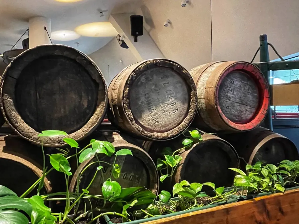 Промысел ночных «наливаек» планирует пресечь Госдума в России