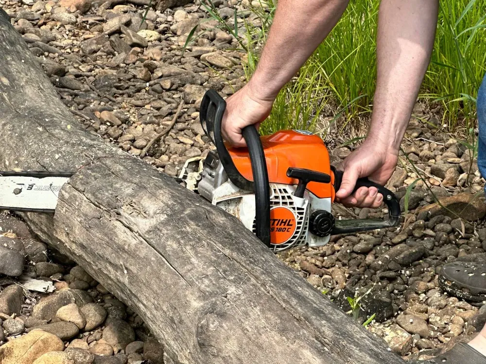 В Приамурье начальник одного из лесхозов области обвинен в незаконной рубке деревьев