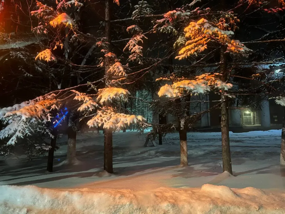 Местами повышенное давление, снег и сильный туман могут ждать жители ЕАО в четверг
