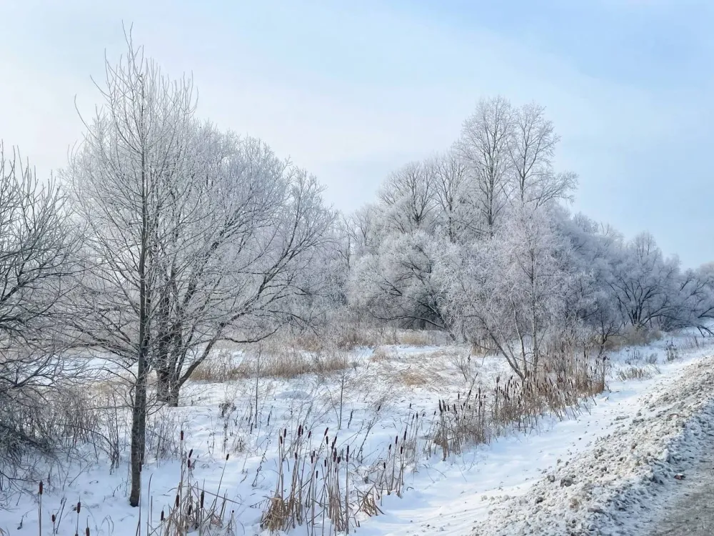 Сильный мокрый снег, гололед, но плюсовая температура ожидается в пятницу в ЕАО