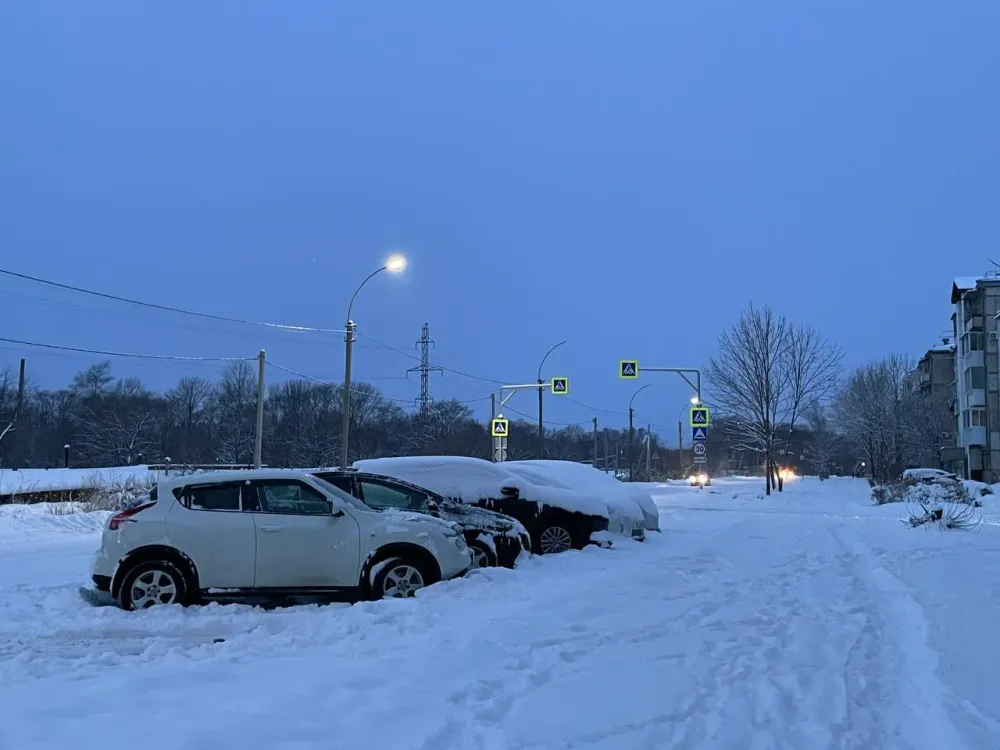 Мэр призвал наказывать «управляйки» за несвоевременную уборку снега в Хабаровске
