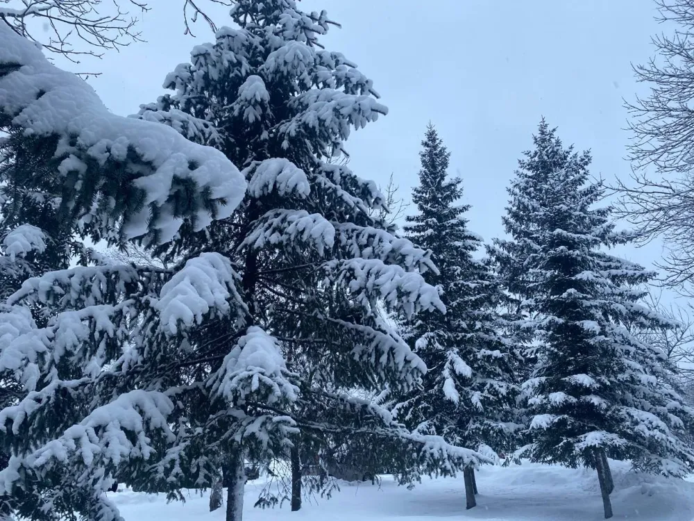 Гололедица, дождь, порывистый ветер ожидается в субботу в ЕАО