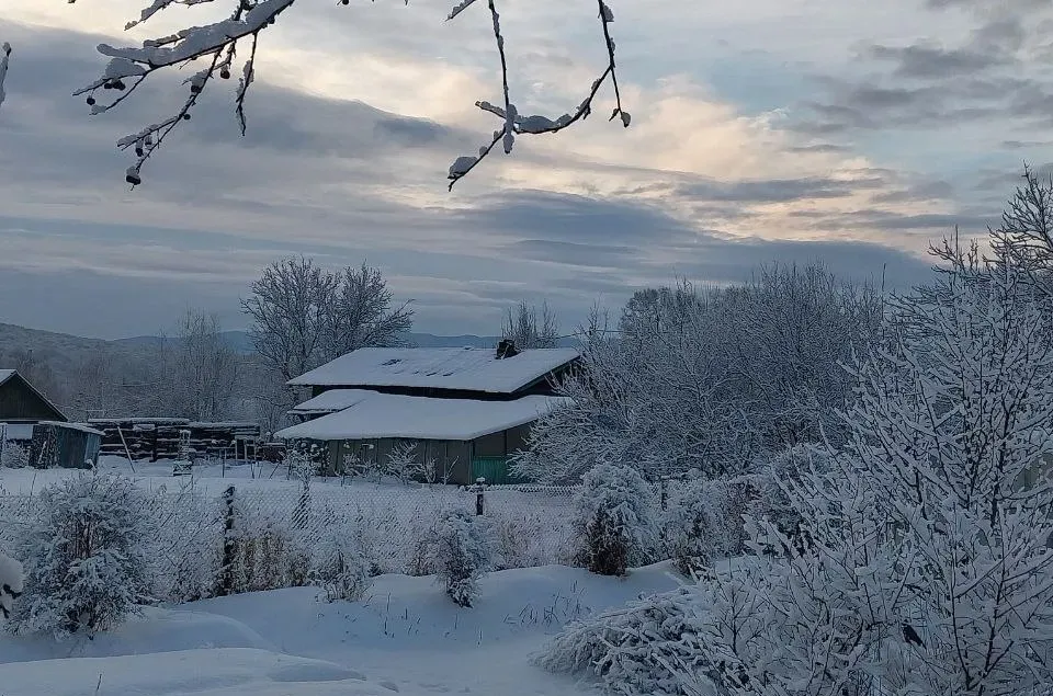Плюсовая температура, облачность и гололед ожидается во вторник в ЕАО