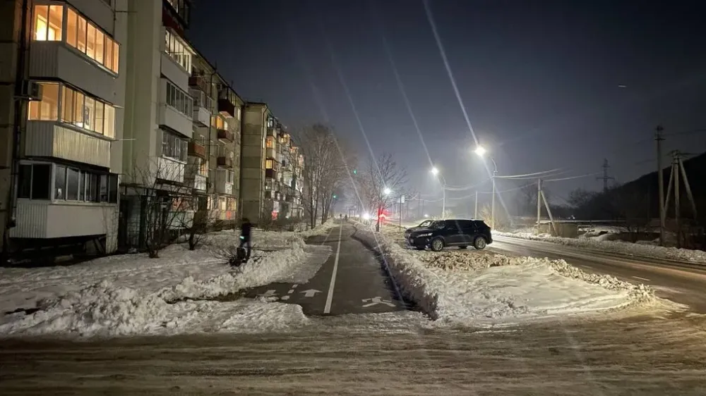 Устранить гололёд на тротуарах до конца недели потребовал мэр Биробиджана