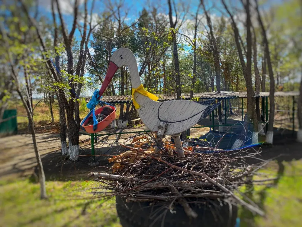 В Хабаровском крае больше 18 тысяч родителей первенцев получили выплаты