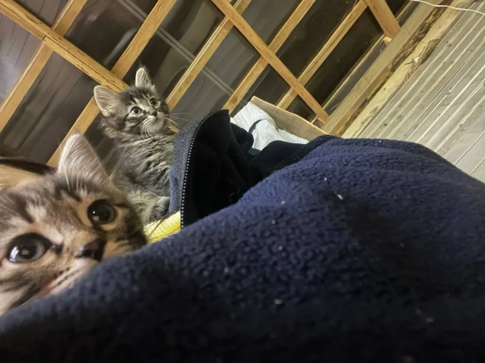 Изменение маршрутов автобуса, пункты для беженцев и новые врачи — новости недели в ЕАО