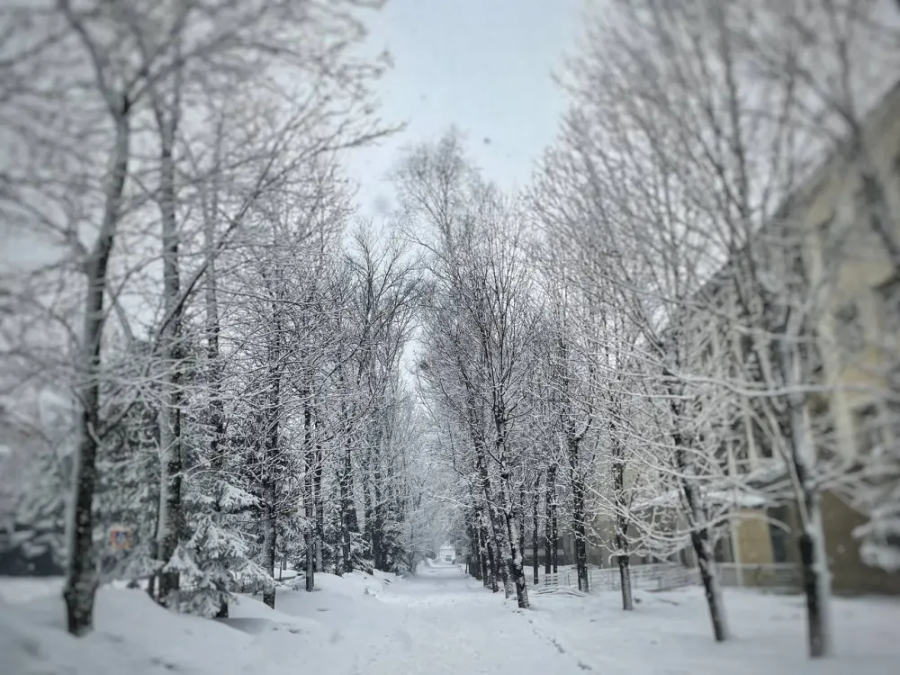 Одевайтесь теплее: прогноз погоды в ЕАО на воскресенье