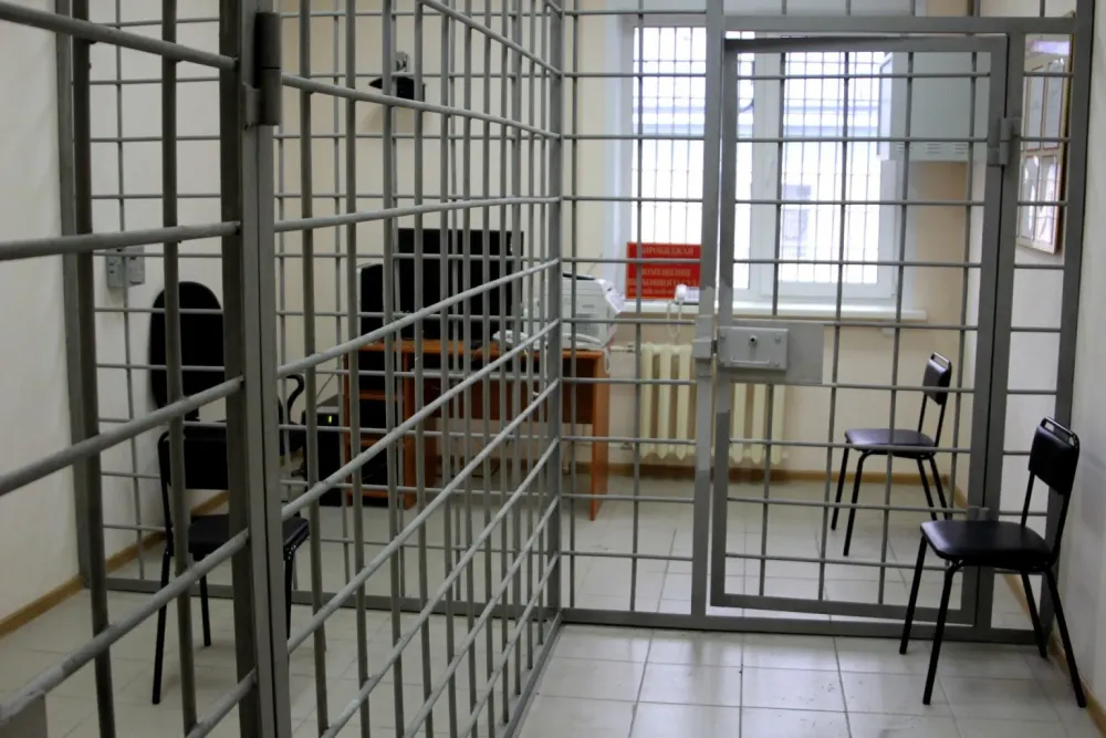 В исправительной колонии Приамурья годовалого ребенка укусила крыса