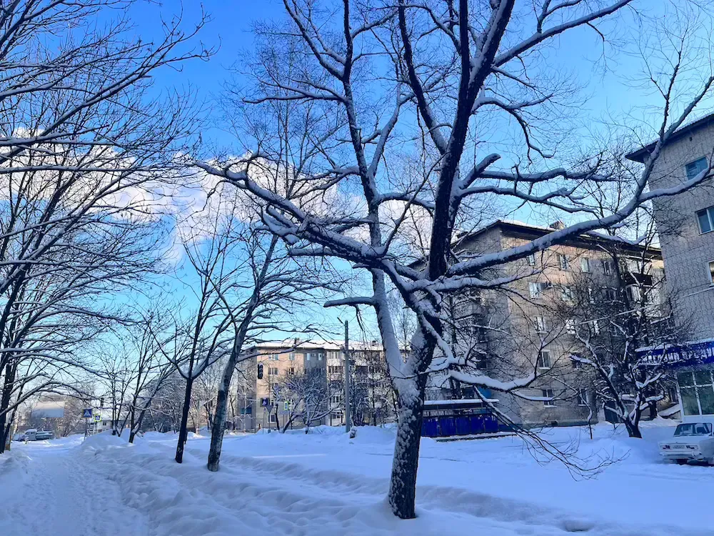 Ясная погода ждет жителей ЕАО — прогноз на 10 декабря