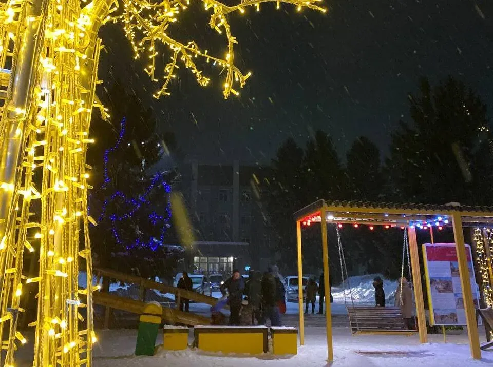 Будет ли сильный снег в новогоднюю ночь, рассказали синоптики ЕАО