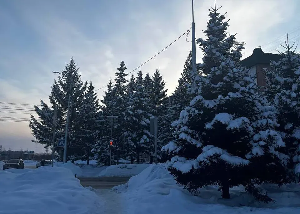 Какая погода будет в последнюю субботу этого года, рассказали синоптики ЕАО