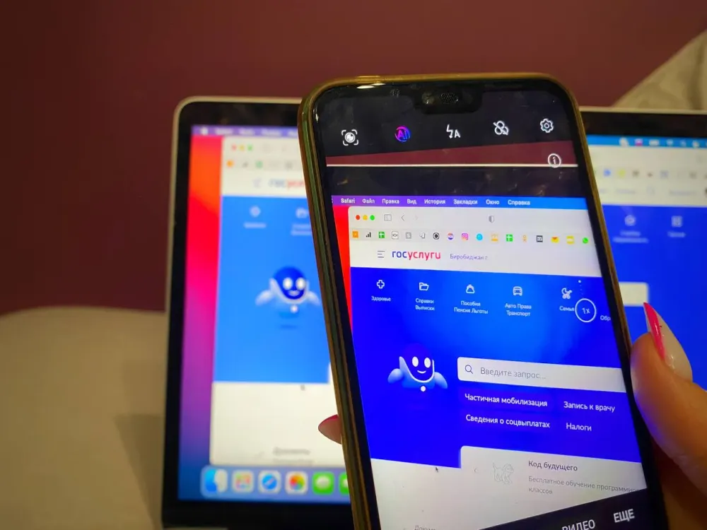 Уже воспользовались удобным нововведением налоговой службы 4500 жителей ЕАО