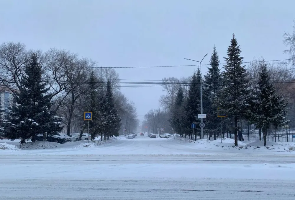 О погоде на субботу рассказали синоптики ЕАО