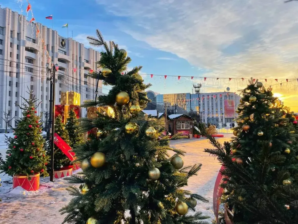 Похвастаться лучшей новогодней елкой смогут жители ЕАО