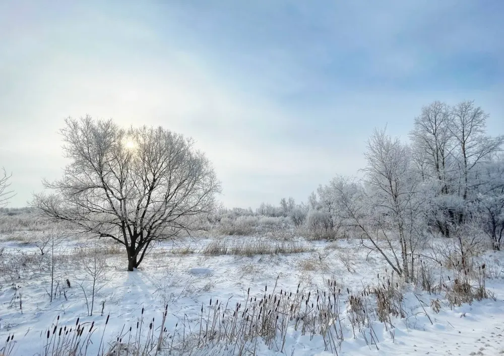 Заметно холодает в ЕАО: прогноз погоды на среду