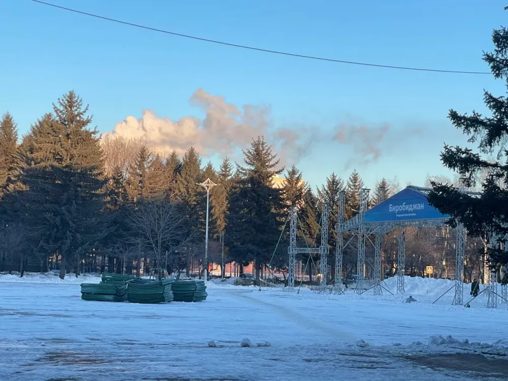 Как украсят Биробиджан к Новому году рассказали в мэрии города