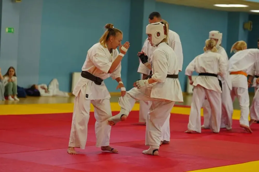 Школьница из ЕАО стала чемпионкой первенства Мира по киокусинкай