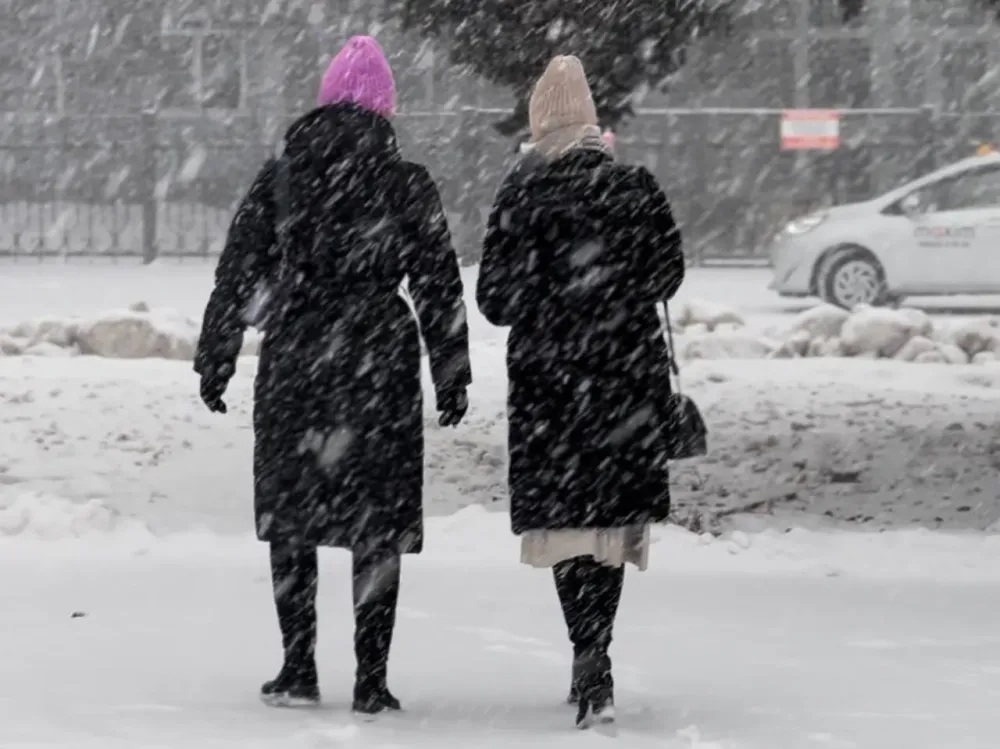 Как жители ЕАО оденутся в пятницу, рассказали синоптики