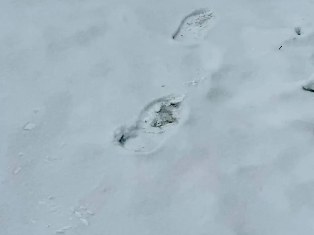 Как на самом деле управляйки почистили дворы, проверит мэр Биробиджана