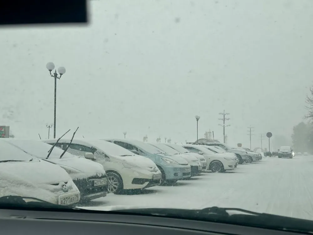 За упавший на машину с крыши магазина снег биробиджанец подал на предпринимателя в суд