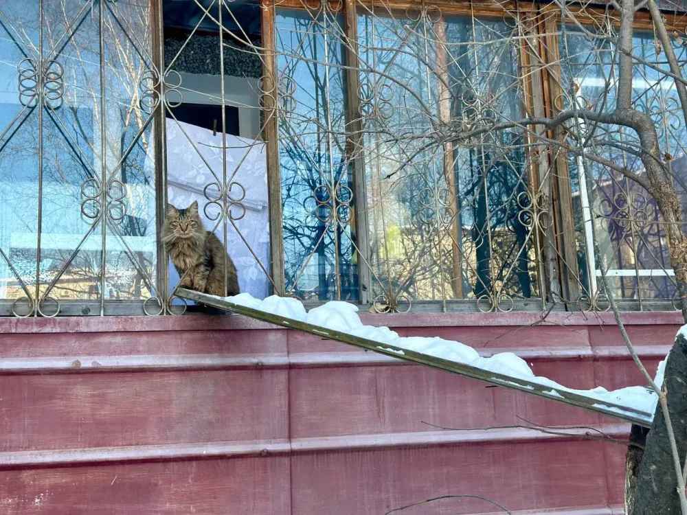 Синоптики обещают холодный вторник: прогноз погоды в ЕАО