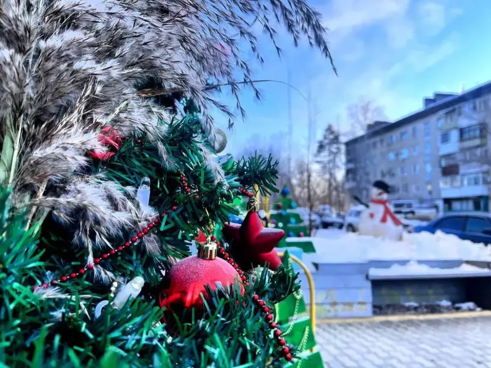 Когда начнут отмечать Новый год в Биробиджане рассказали в мэрии